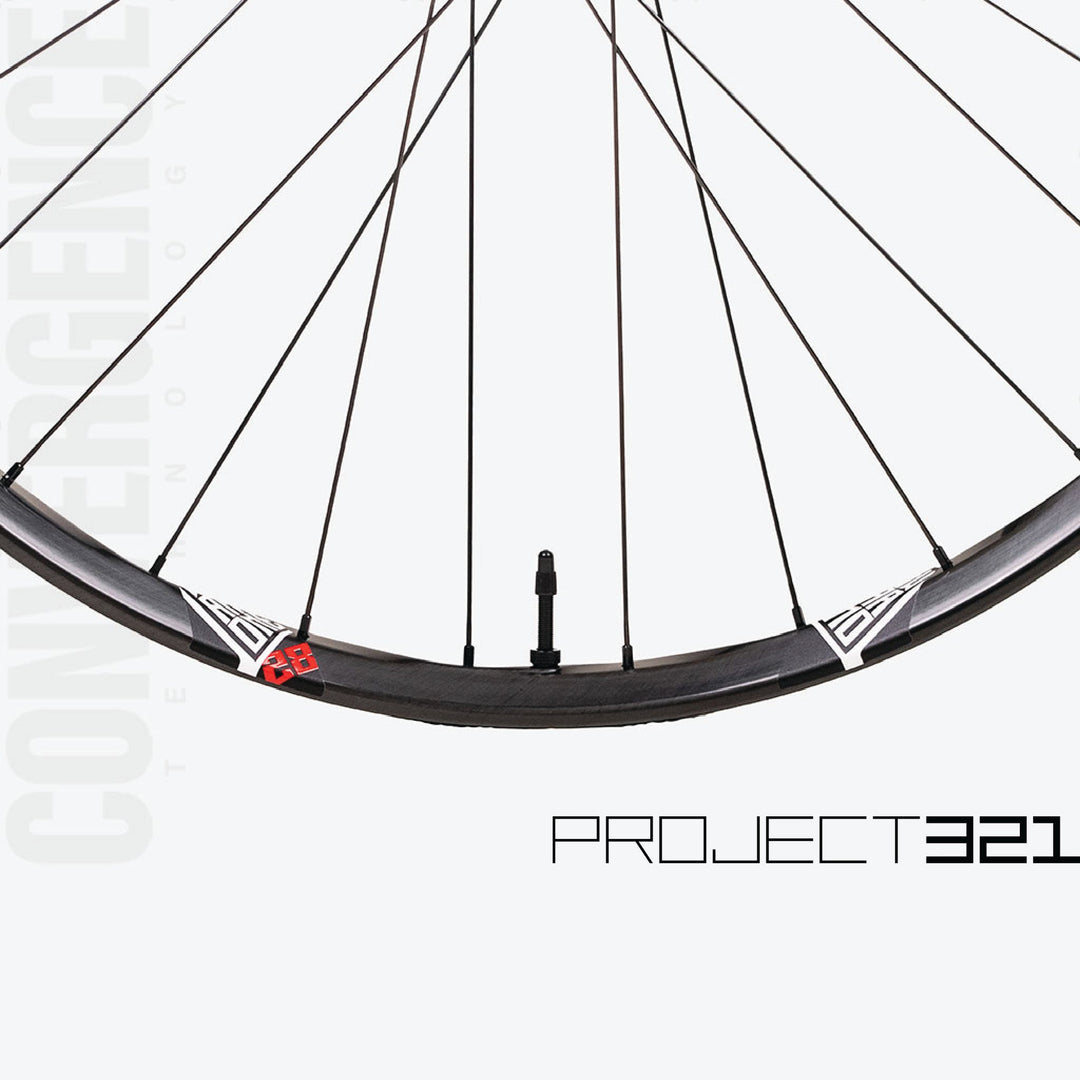 Triad 29 32H Rear Wheel, Maple P321 Hub, 6-Lock Brake, Boost 148x12, XD Driver, Race Spokes