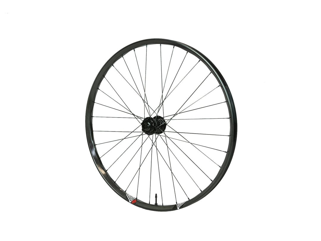 Triad 29 32H Rear Wheel, Hadley Hub, 6 Bolt Brake, Boost 148x12, XD Driver, Race Spokes