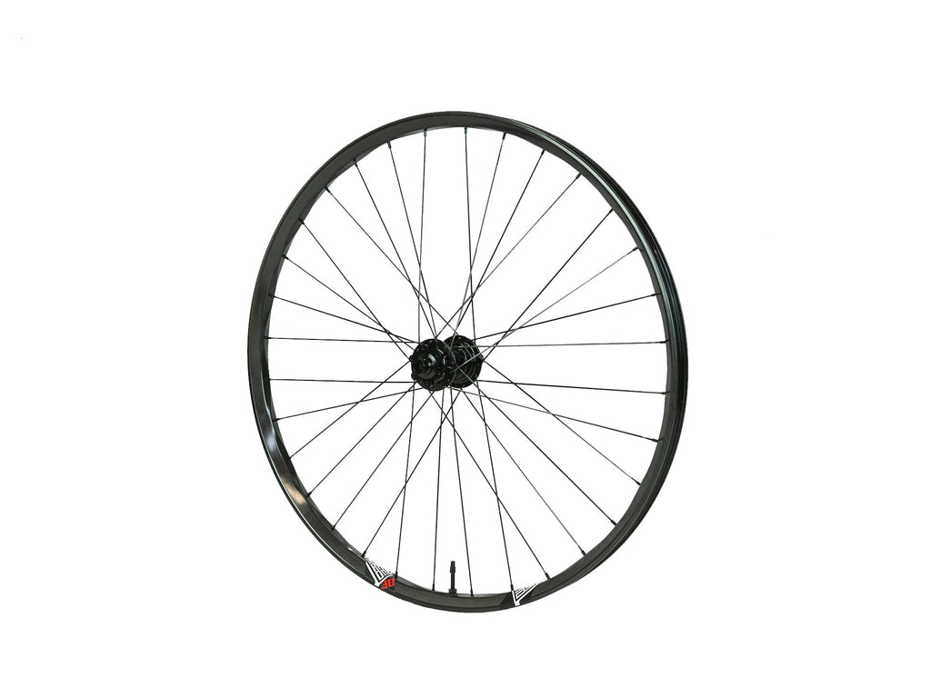 350 Rear Hub - DT Swiss 350 Rear Hub - 12 x 157mm, 6-Bolt
